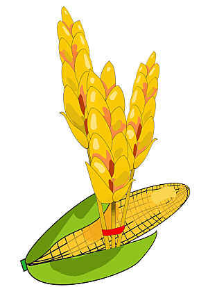 卡通手绘玉米元素