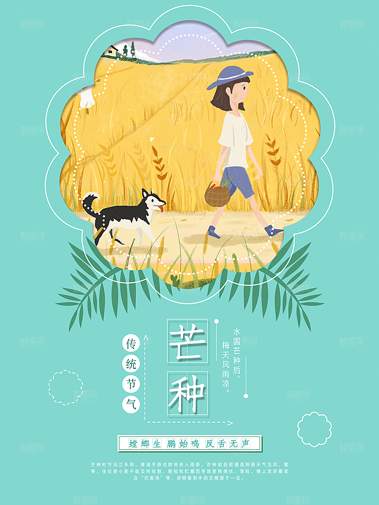 传统二十四节气芒种