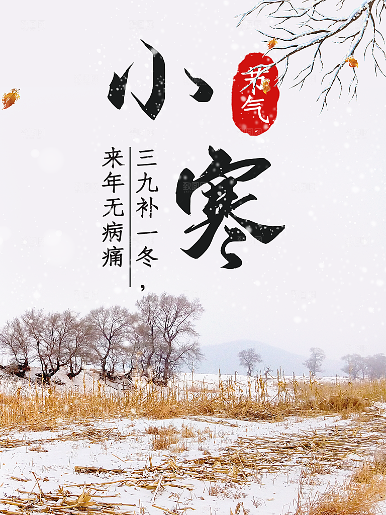 中国二十四节气小寒