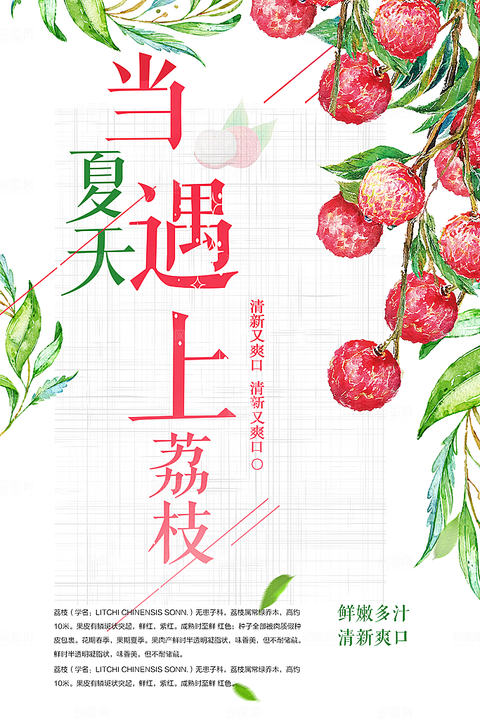 当夏天遇上荔枝海报