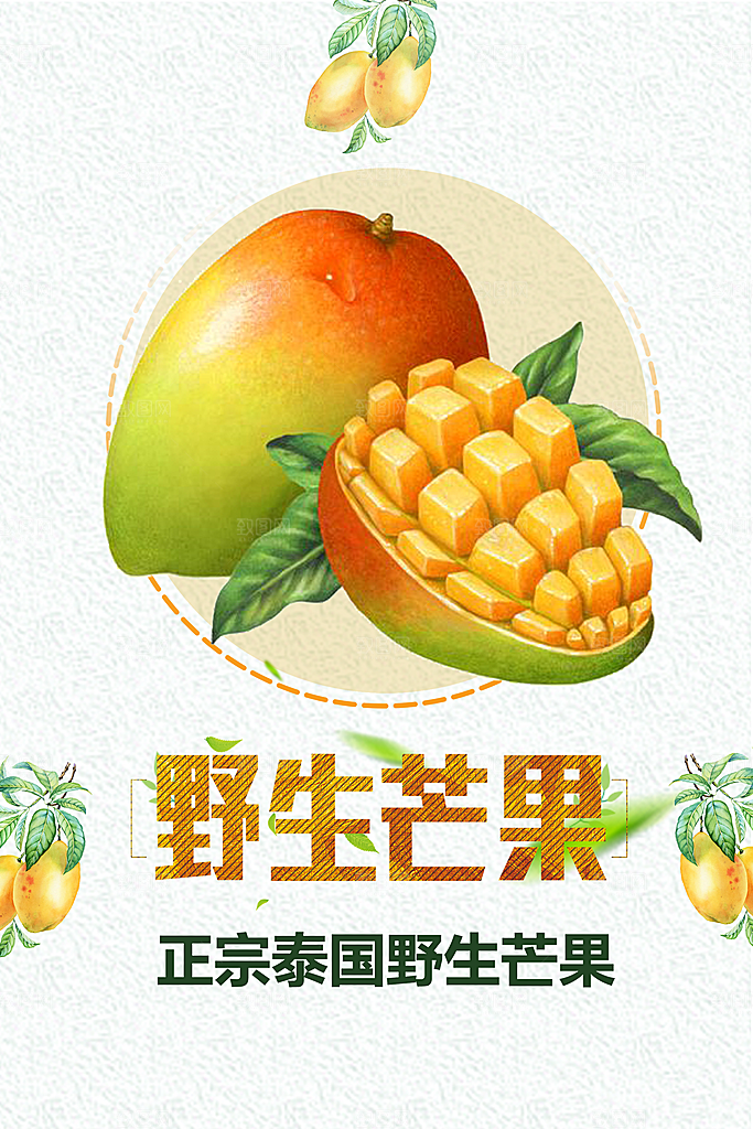 新鲜野生芒果海报