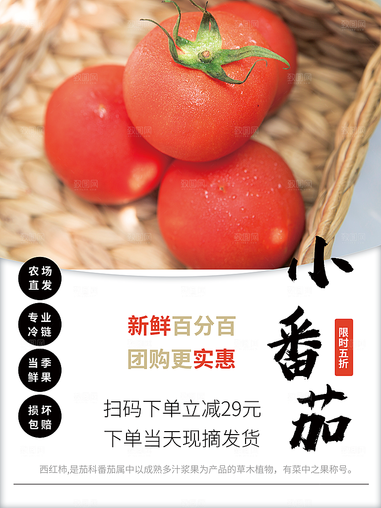 新鲜水果小番茄海报