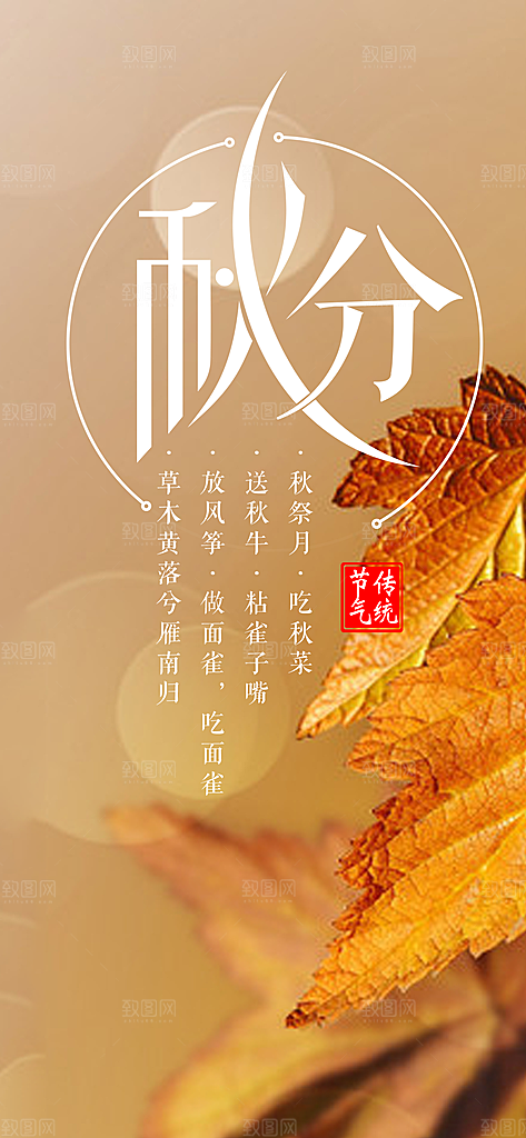 秋分节气简约大气海报