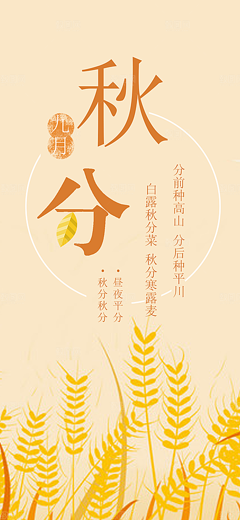 秋分节气简约大气海报