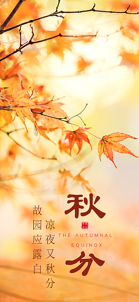 秋分节气简约大气海报