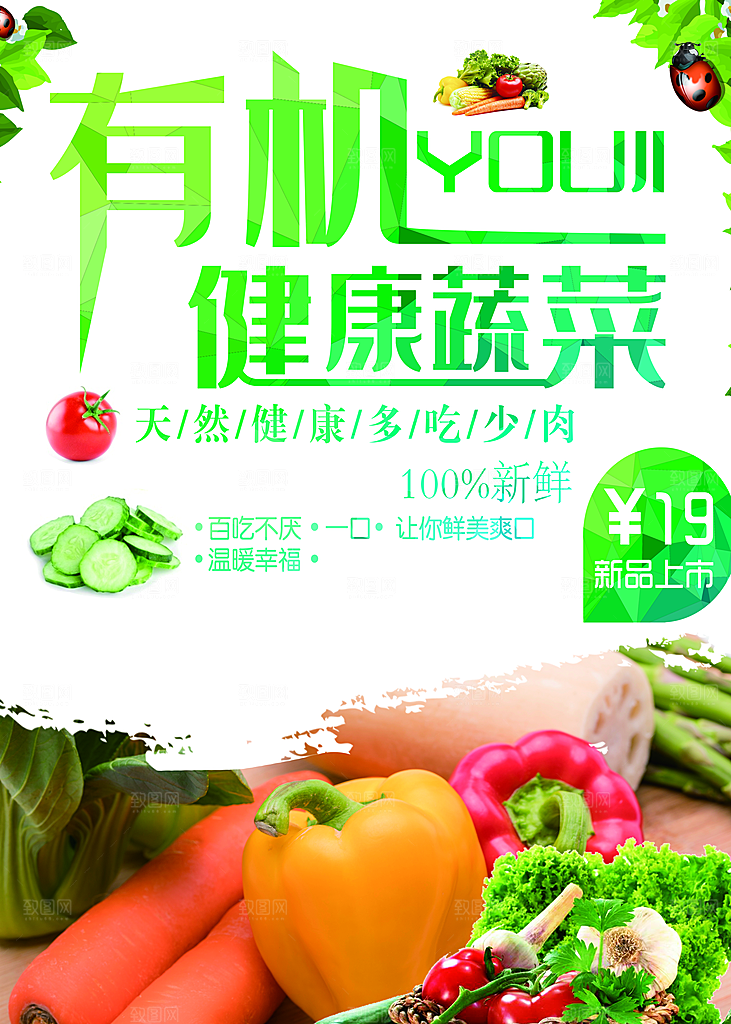 有机新鲜健康蔬菜