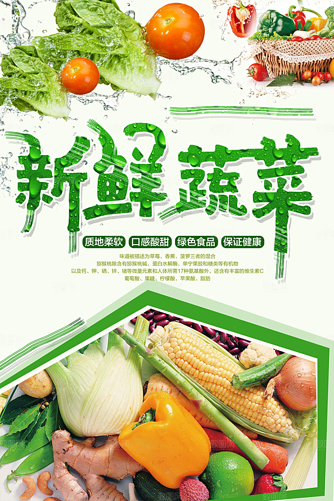 新鲜蔬菜配送上门