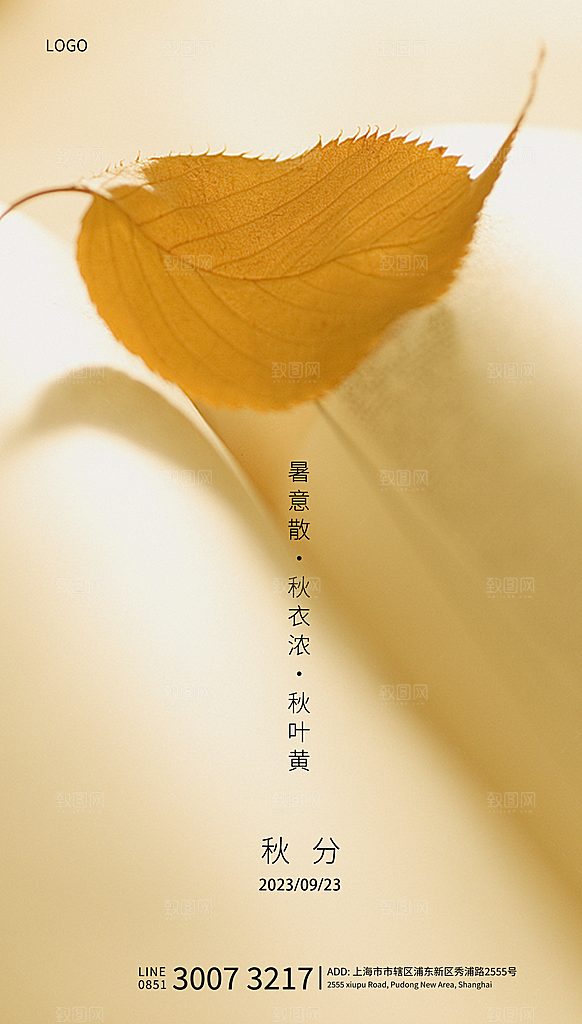 秋分节日简约大气海报