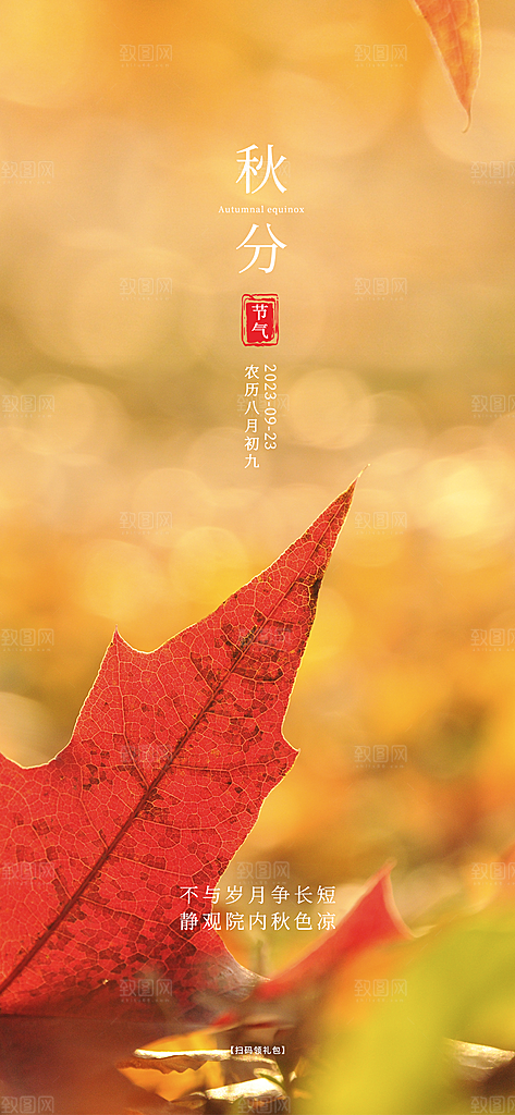 秋分节日简约大气海报