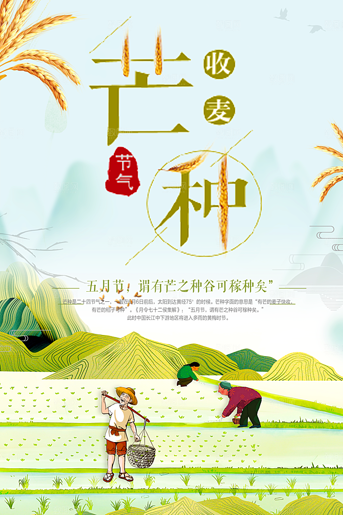 中国传统二十四节气芒种