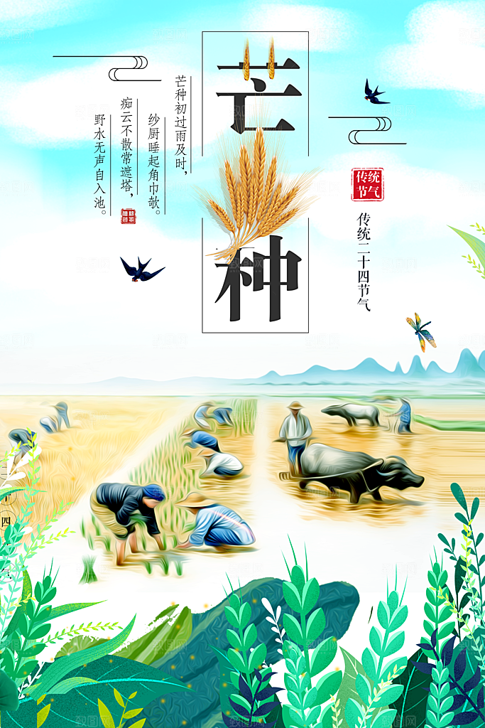 中国传统二十四节气芒种
