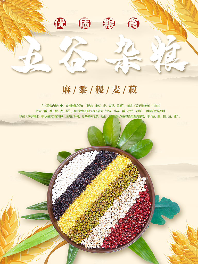 优质粮食五谷杂粮