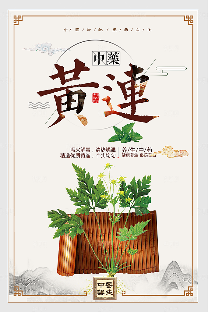 中国传统中药黄连
