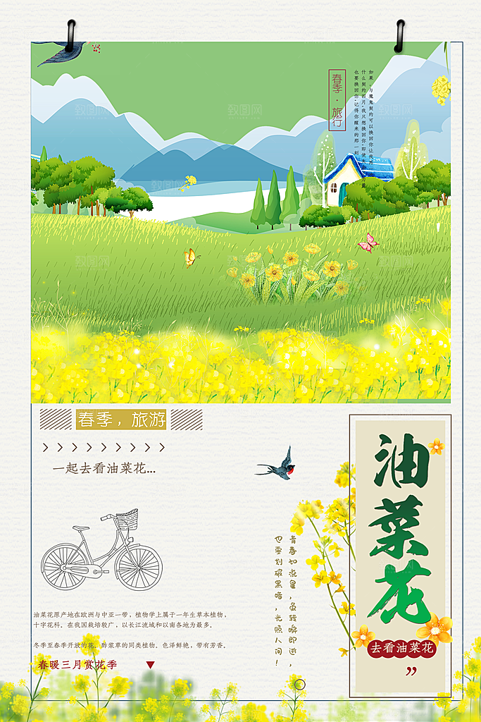 春季旅行油菜花开