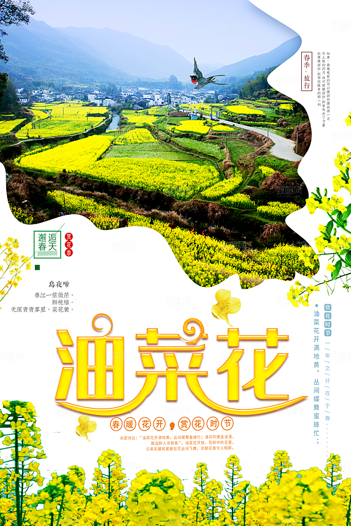 邂逅春天赏油菜花