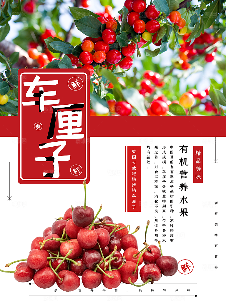 新鲜水果车厘子海报