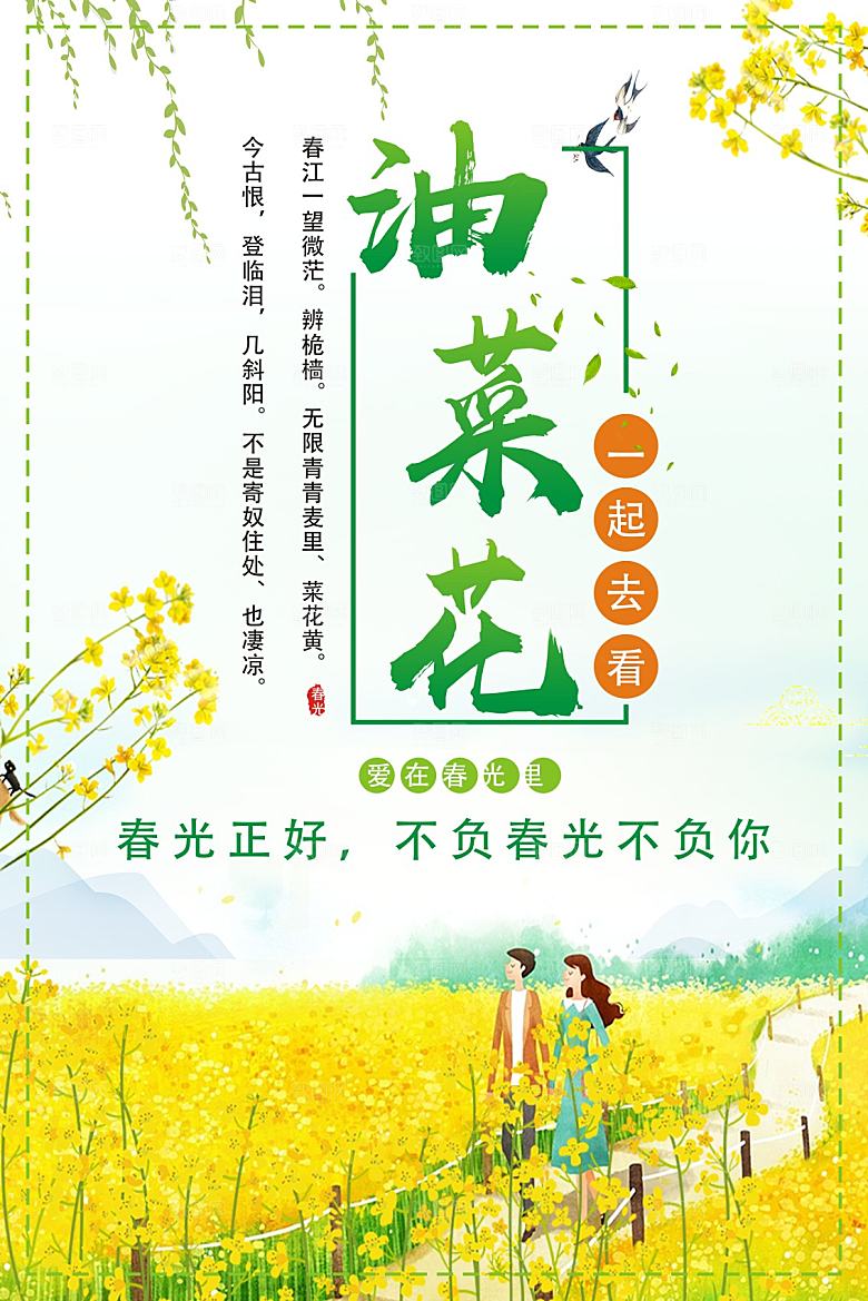 爱在春光里油菜花