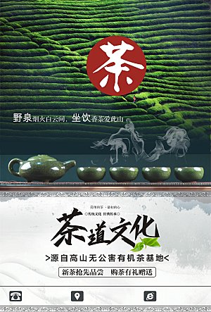 茶道文化新茶上市
