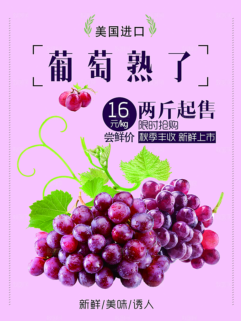 新鲜美味诱人葡萄