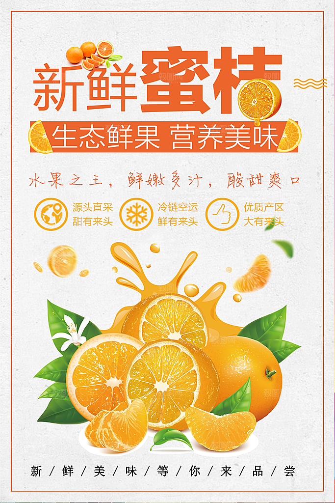 生态鲜果新鲜蜜桔