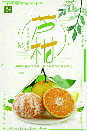 新鲜水果芦柑宣传海报