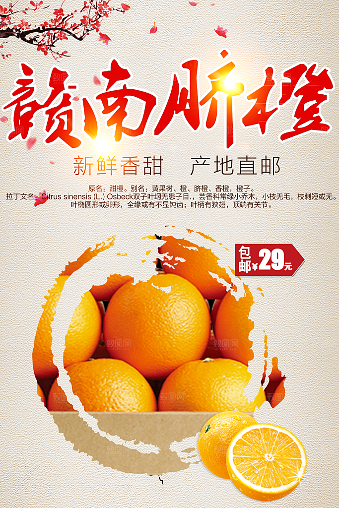 新鲜水果赣南脐橙