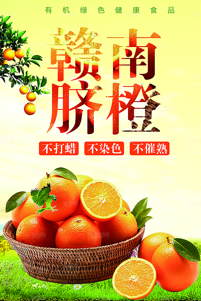 有机绿色赣南脐橙
