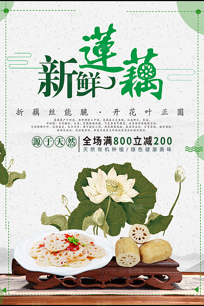新鲜蔬菜莲藕海报