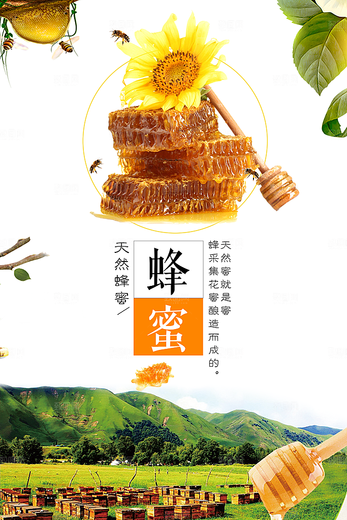 天然野生蜂蜜海报