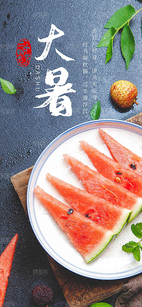 二十四节气大暑海报