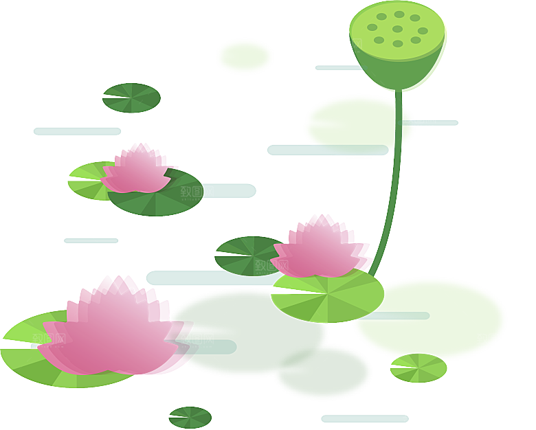 池塘莲子莲藕荷花莲蓬插画PNG免抠