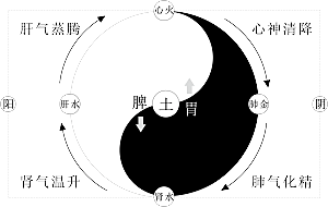 太极八卦阵png免抠图片ps素材透明