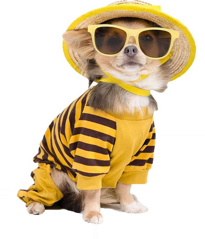 可爱宠物狗各种狗狗犬类动物高清PNG素材