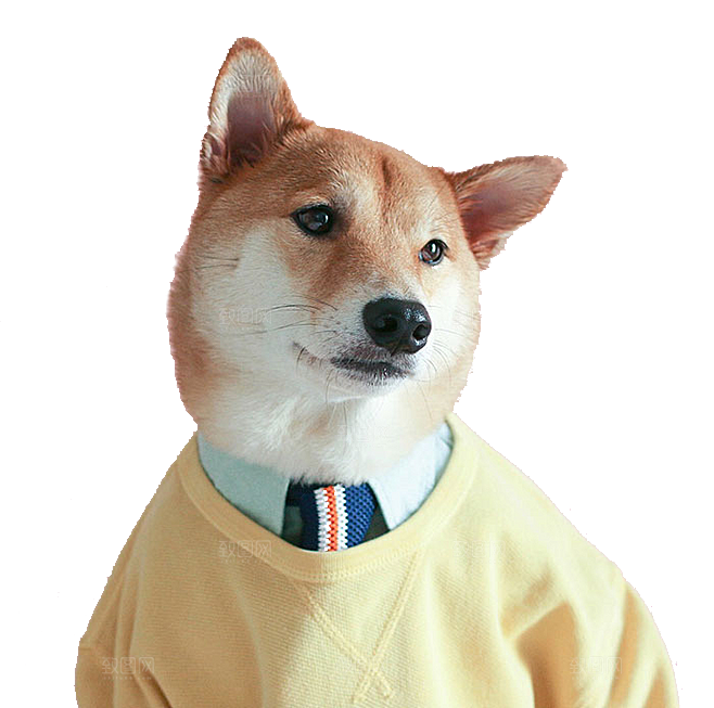 可爱宠物狗各种狗狗犬类动物高清PNG