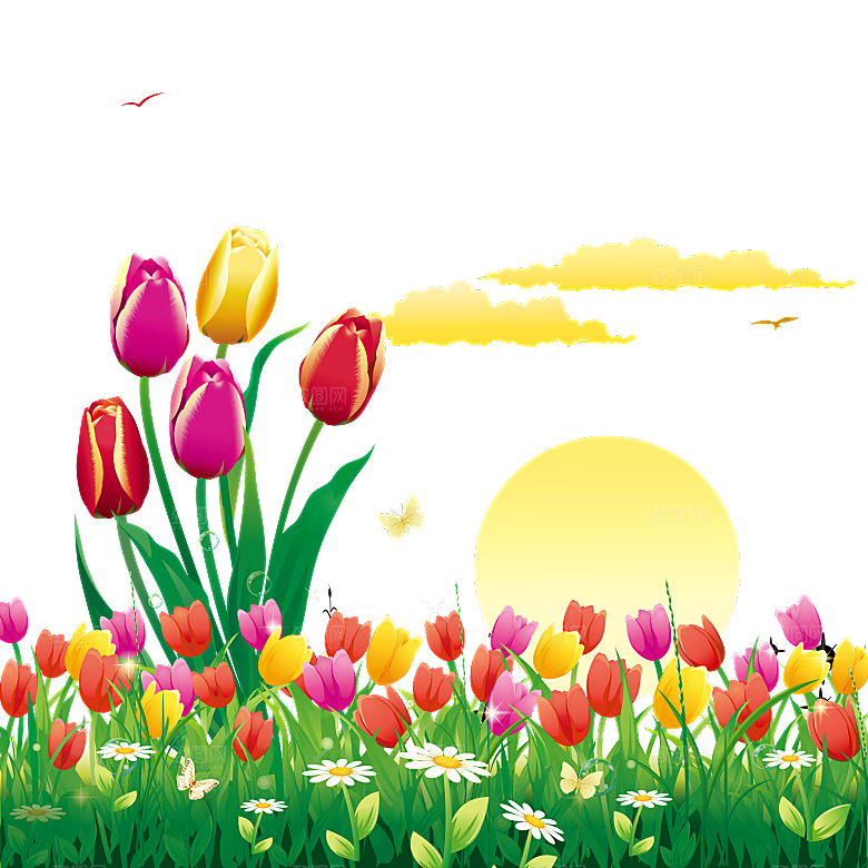 卡通手绘郁金香花朵花卉背景PNG免抠素材