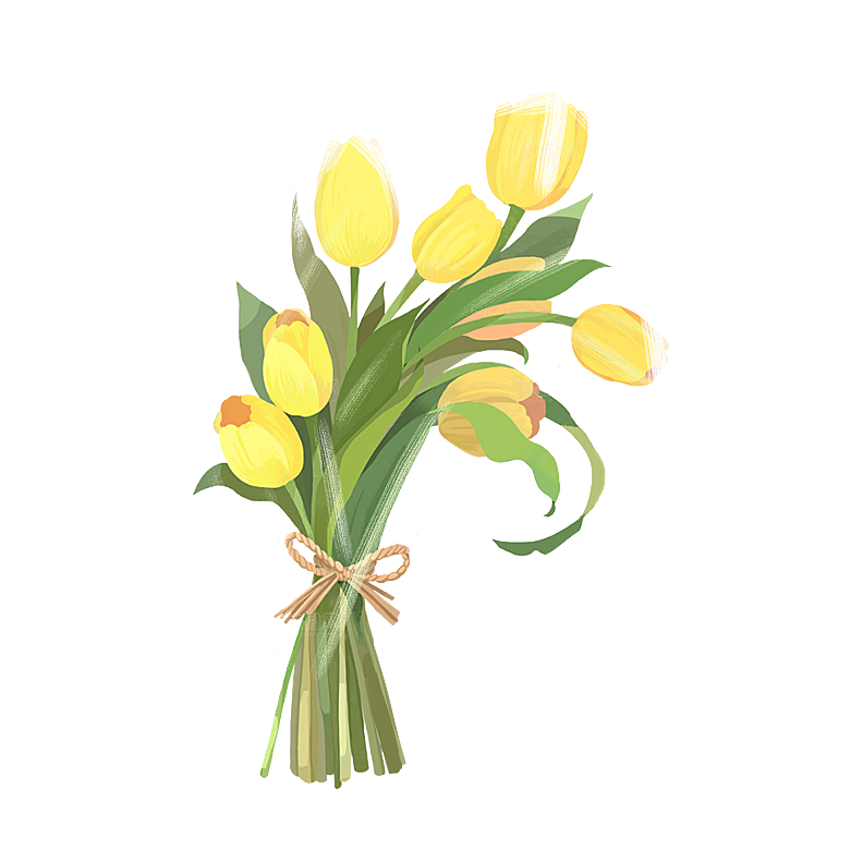 卡通手绘郁金香花朵花卉背景PNG免抠素材