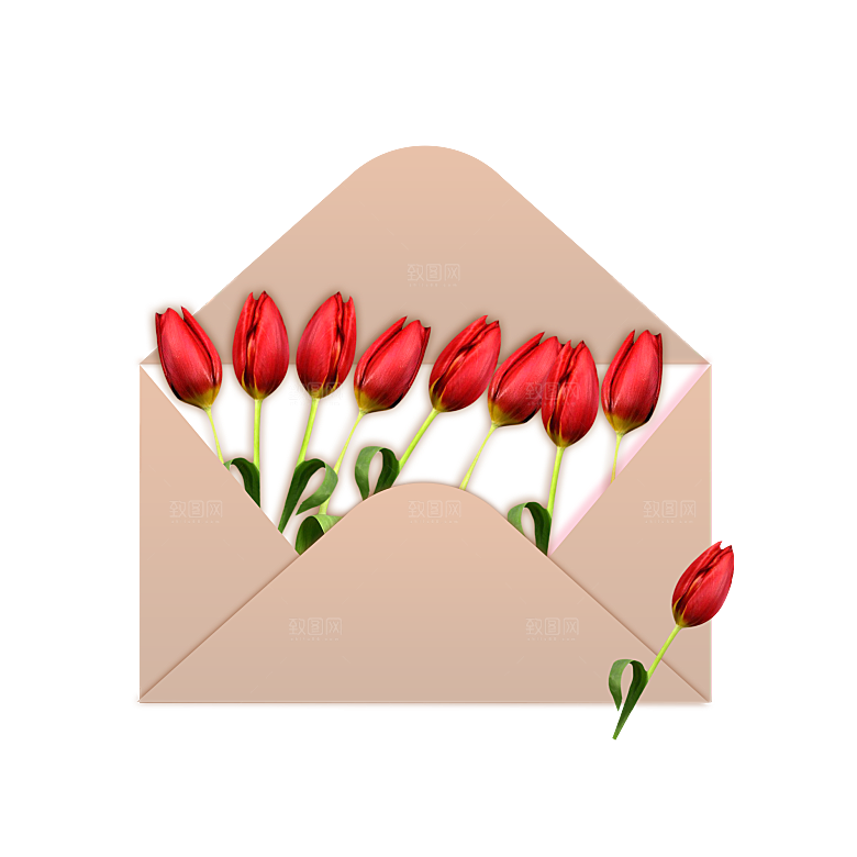 卡通手绘郁金香花朵花卉背景PNG免抠素材