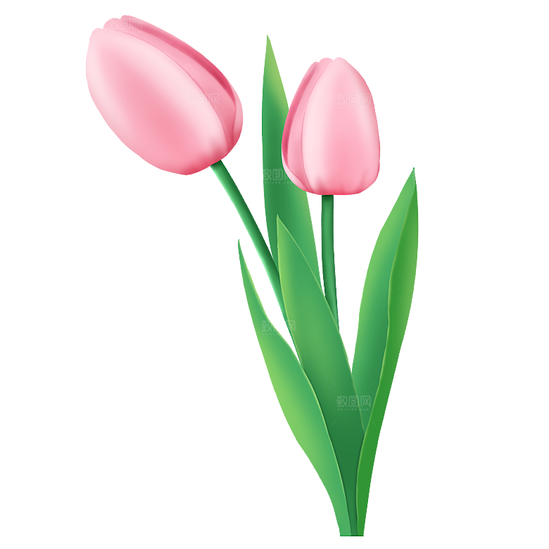 卡通手绘郁金香花朵花卉背景PNG免抠素材