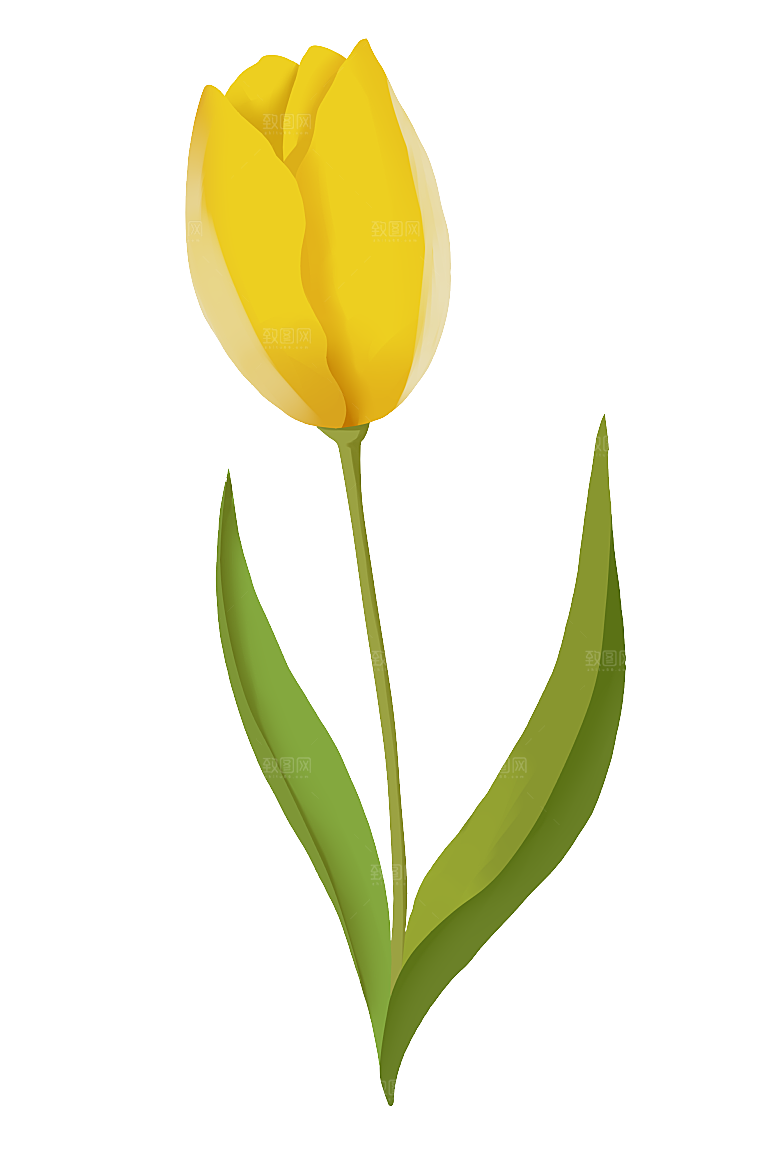 卡通手绘郁金香花朵花卉背景PNG免抠