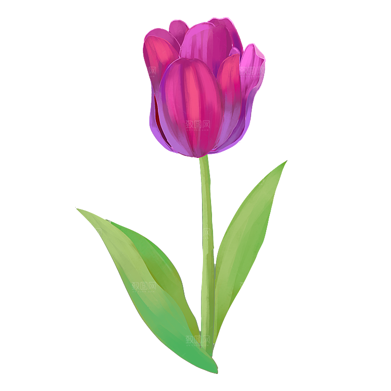 卡通手绘郁金香花朵花卉背景PNG免抠