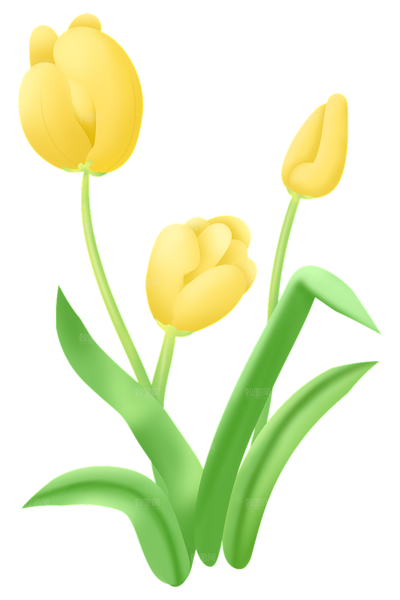 卡通手绘郁金香花朵花卉背景PNG免抠素材