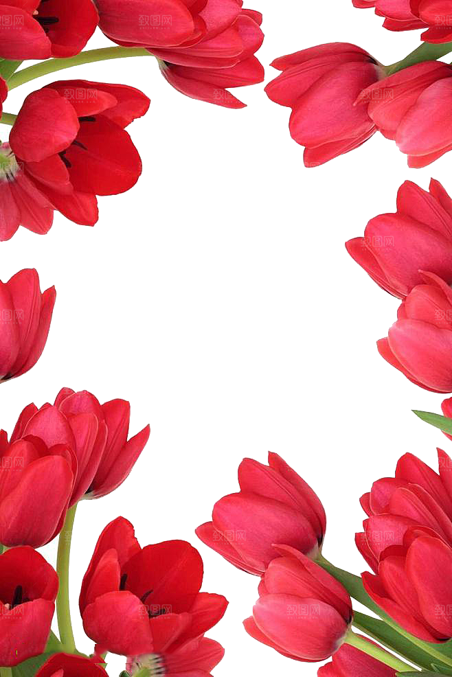 卡通手绘郁金香花朵花卉背景PNG免抠