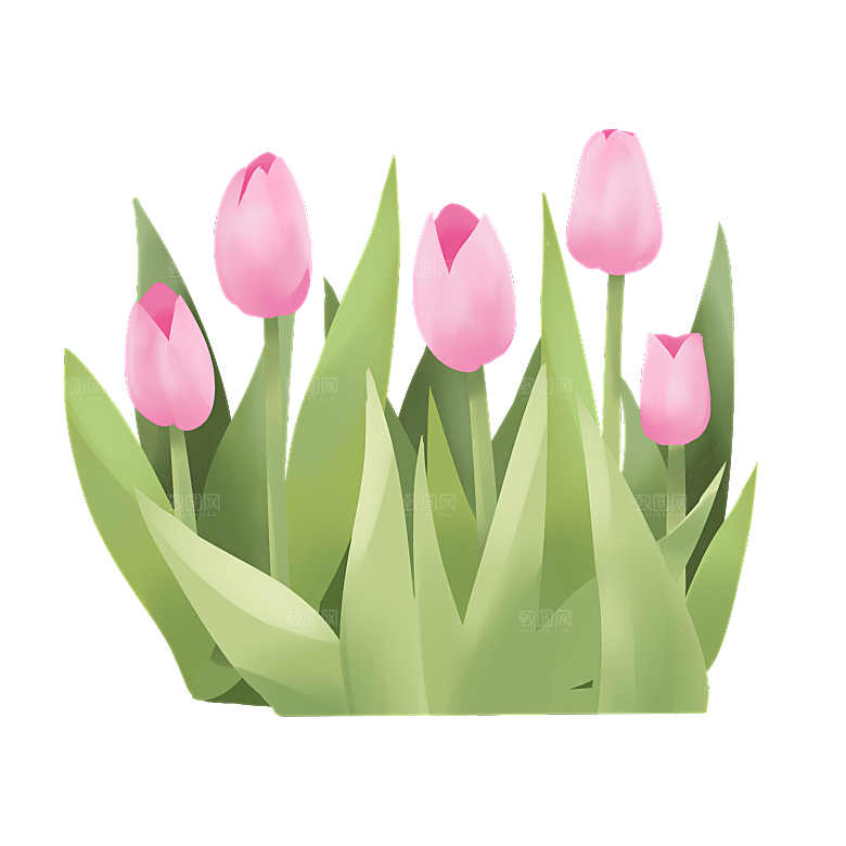 卡通手绘郁金香花朵花卉背景PNG免抠