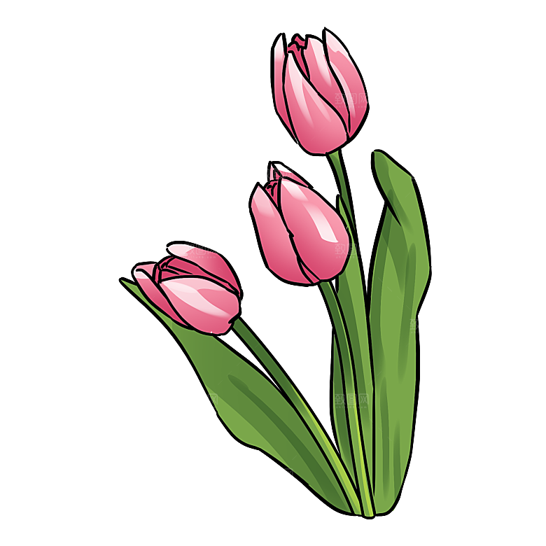 卡通手绘郁金香花朵花卉背景PNG免抠元素