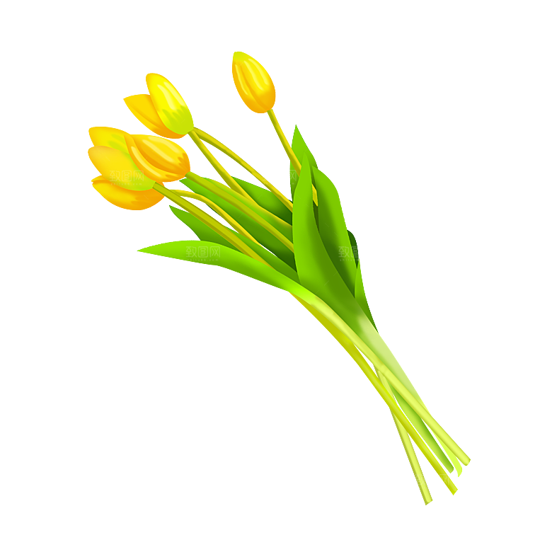 卡通手绘郁金香花朵花卉背景PNG免抠元素
