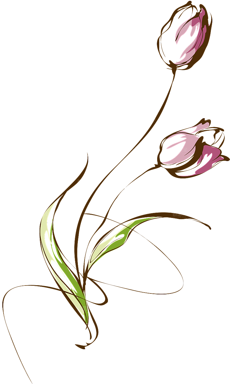 卡通手绘郁金香花朵花卉背景PNG免抠元素