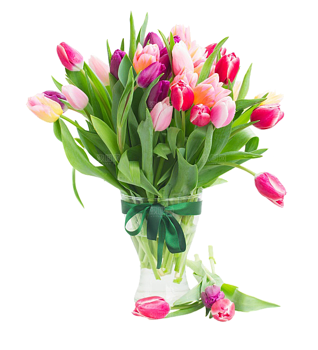 卡通手绘郁金香花朵花卉背景PNG免抠元素