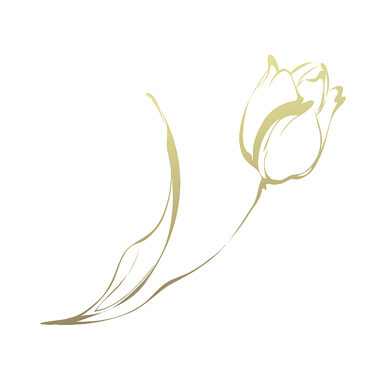 卡通手绘郁金香花朵花卉背景PNG免抠元素