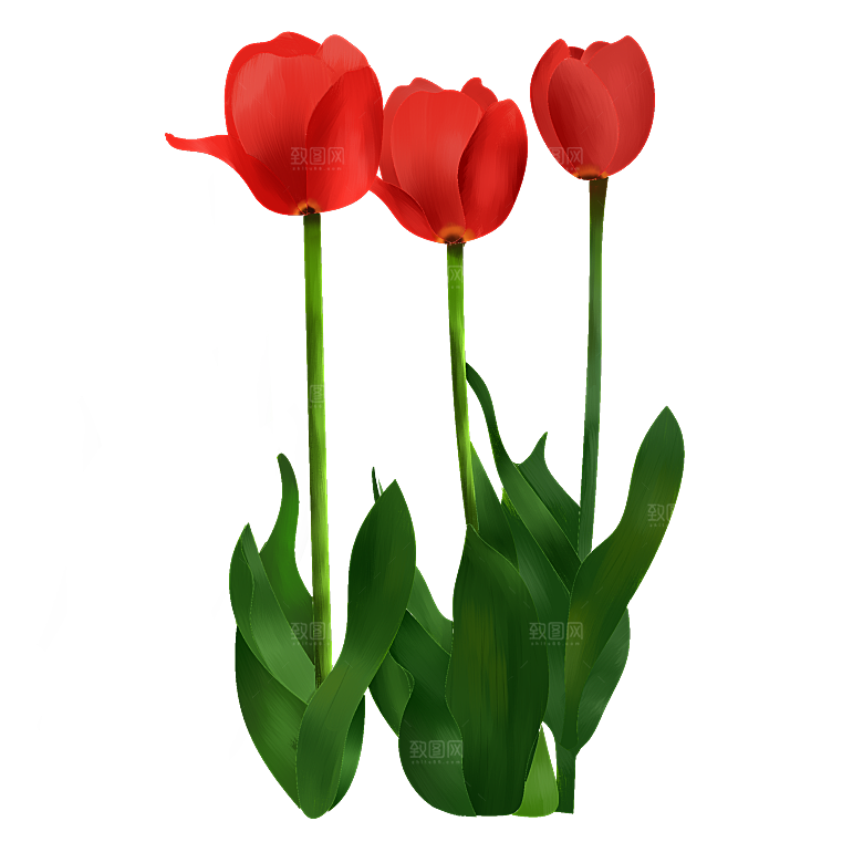 卡通手绘郁金香花朵花卉背景PNG免抠