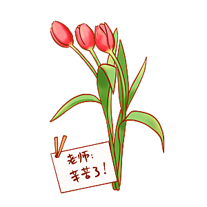 卡通手绘郁金香花朵花卉背景PNG免抠元素